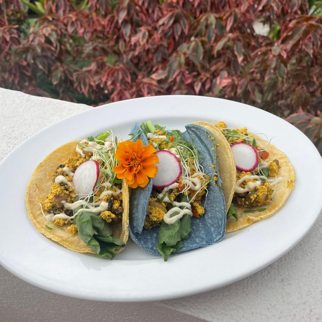 Casa Grande Mountain Retreat - Adults Only photo 3