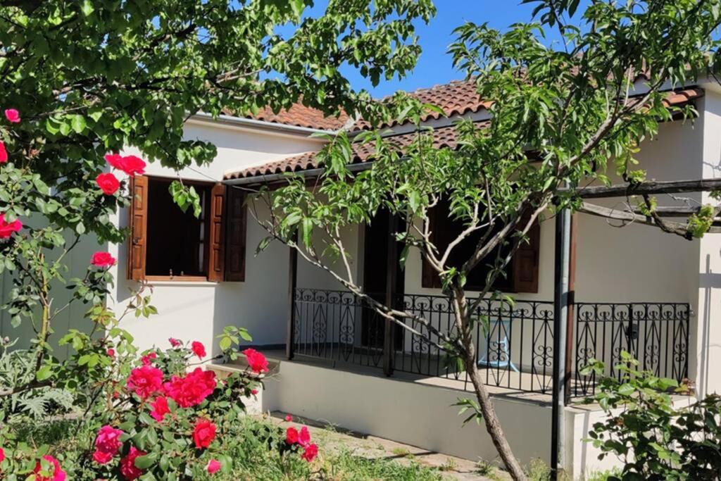 Feli's country house photo 2