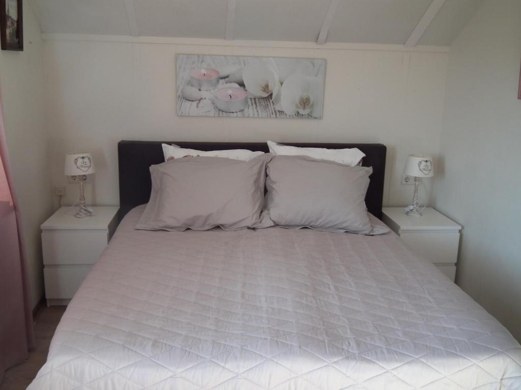 B & B Kaaskenswater photo 2