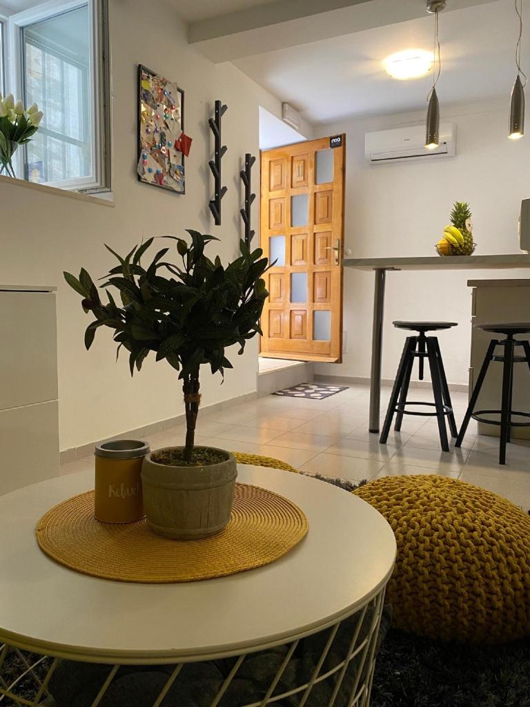 Apartments Noa Old Town photo 4