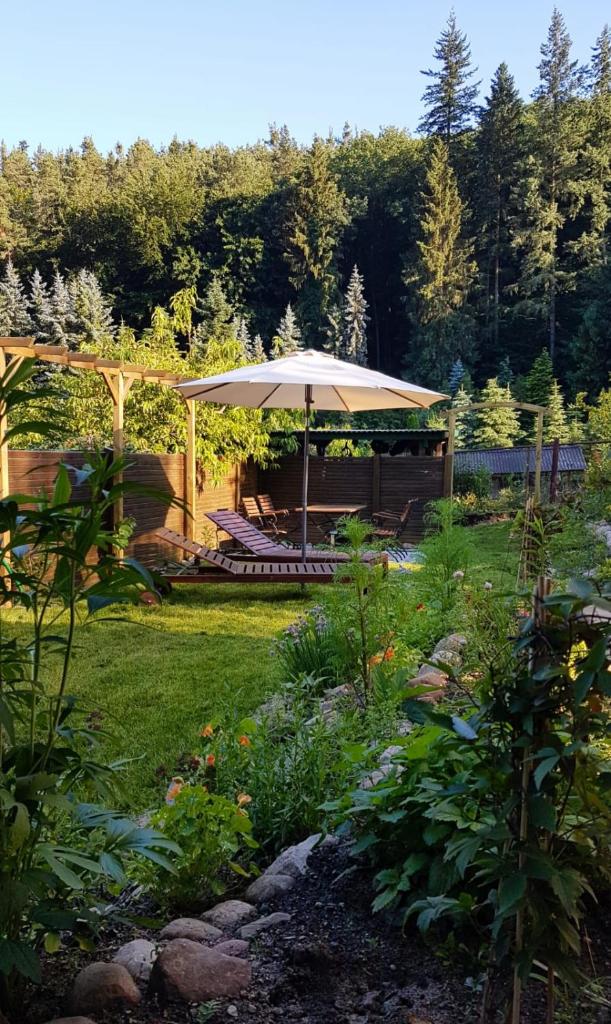 Ferienwohnung Papenmühle am Kurpark photo 4