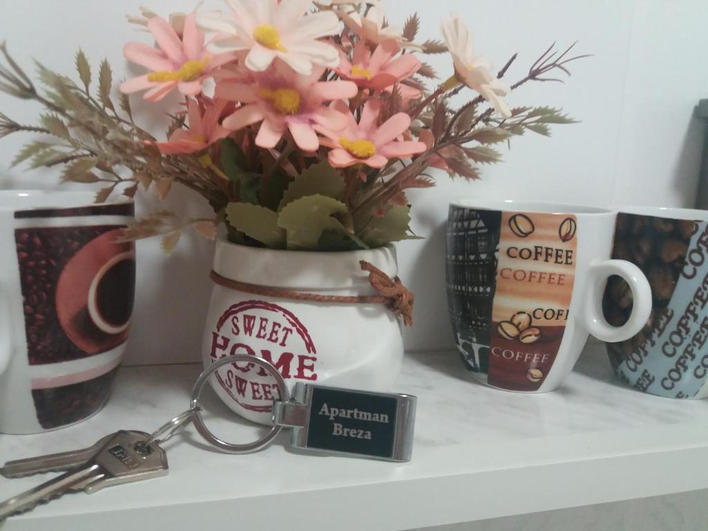 Apartman Breza photo 3
