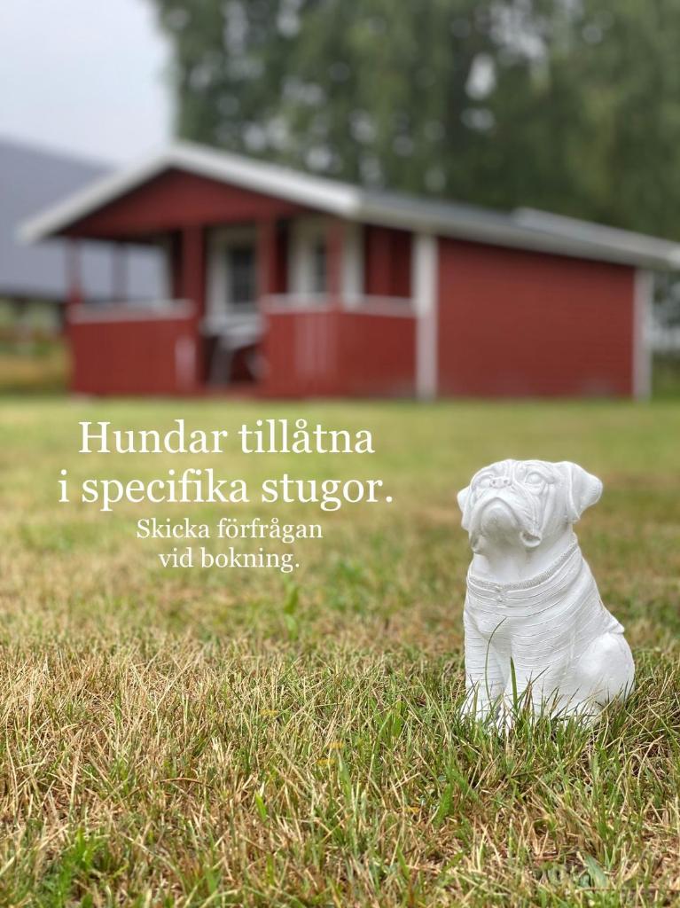 Mjällbyhus Pensionat & Stugby photo 4