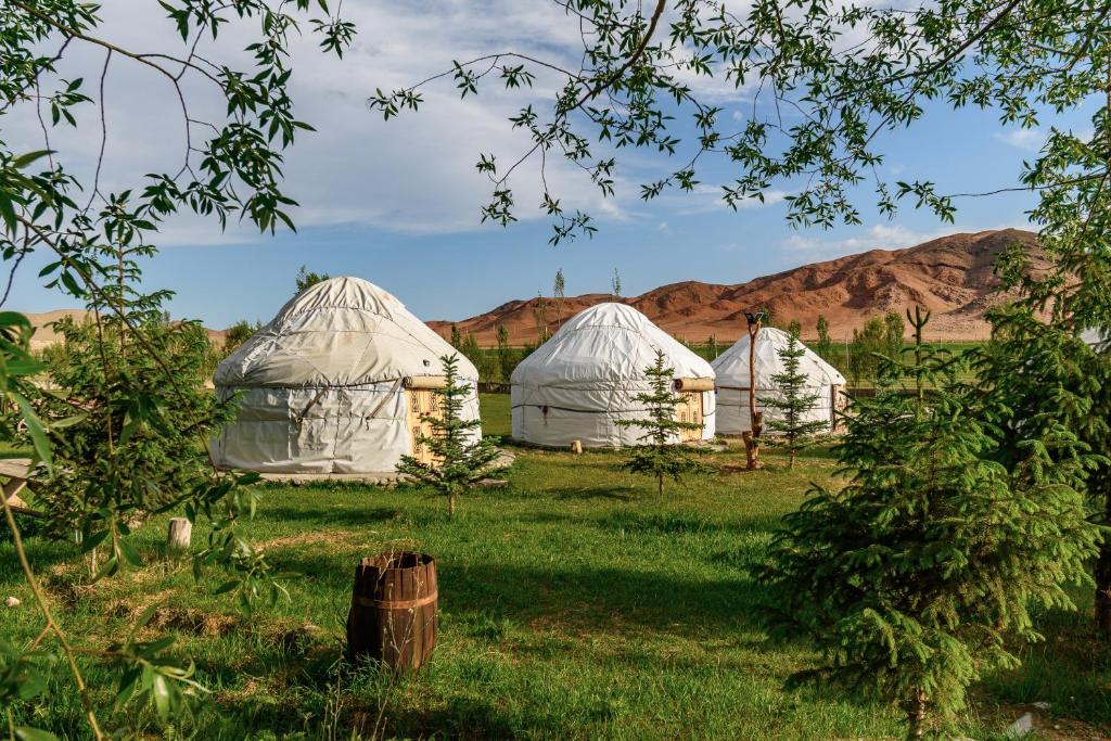Jaichy Yurt Camp photo 3
