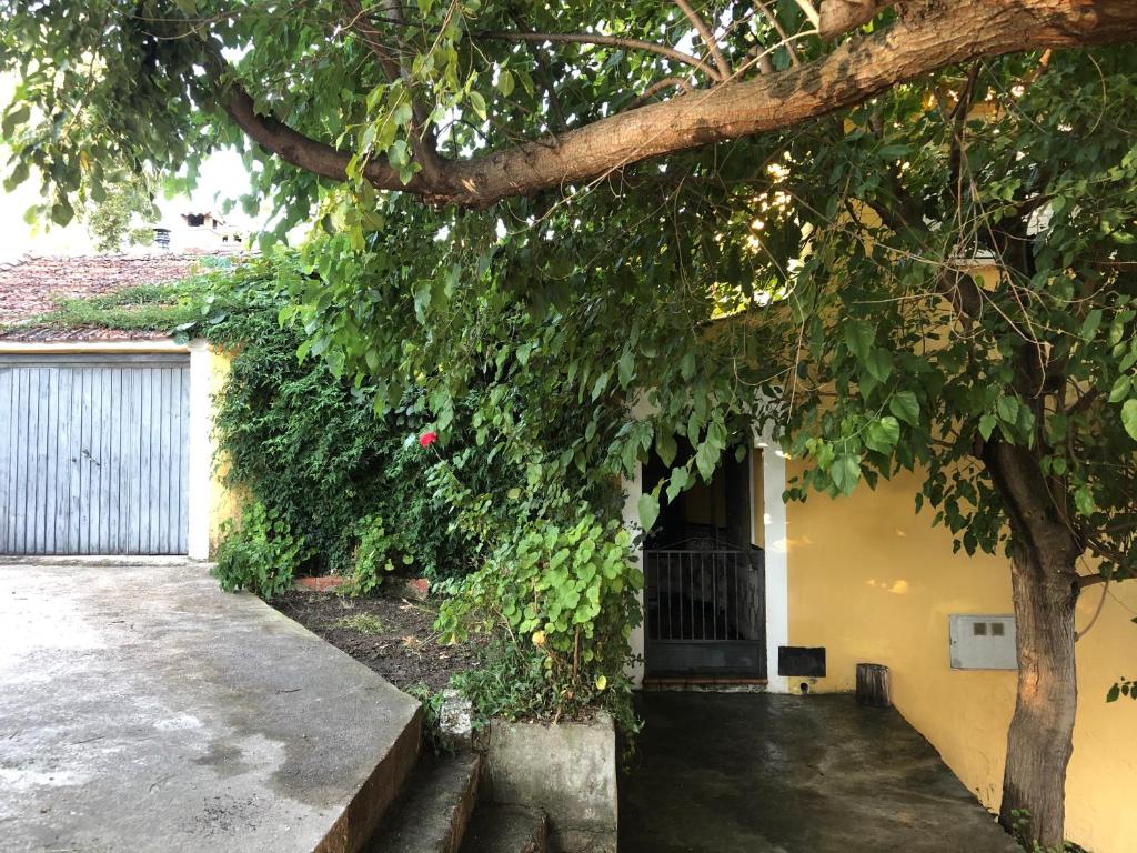 Casa Casillas photo 3