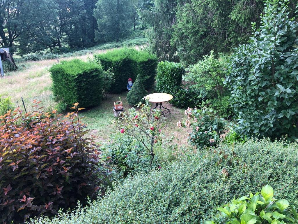 LE PETIT RENARD photo 4