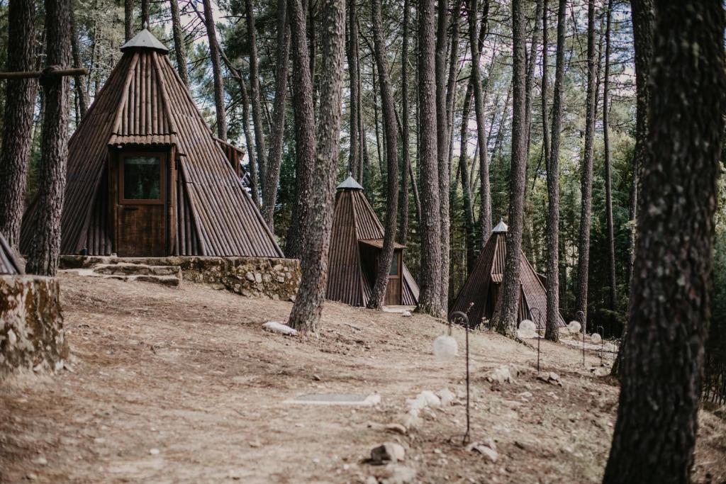 Glamping The Teepee photo 2