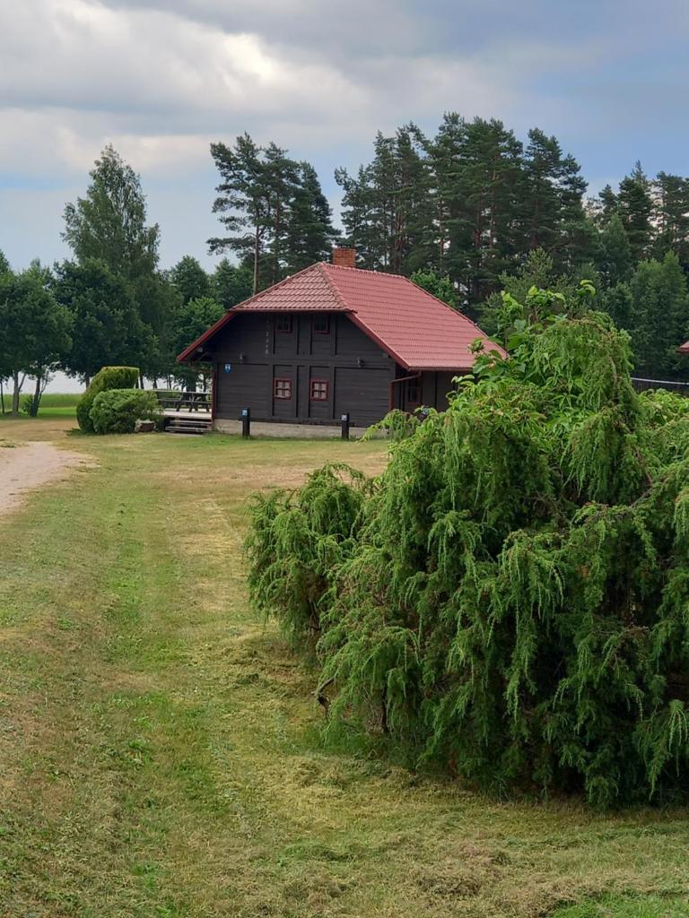 Brīvdienu māja Greiži photo 3