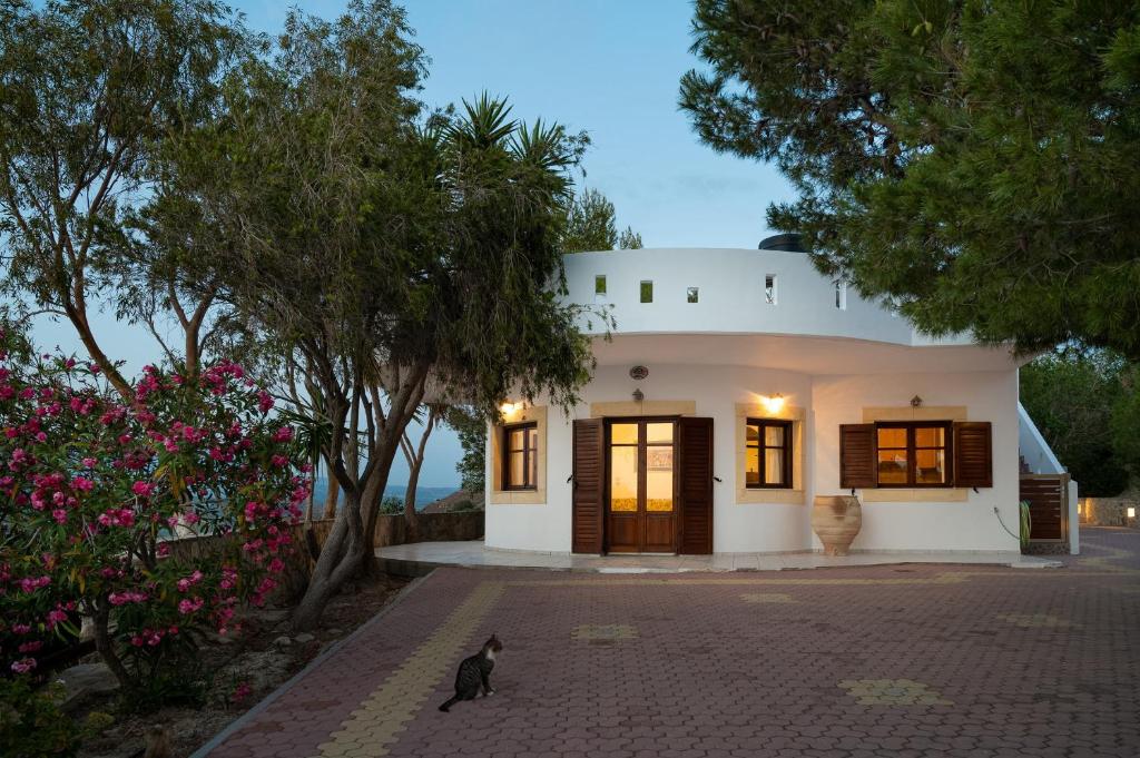 Villas Alexandros photo 3