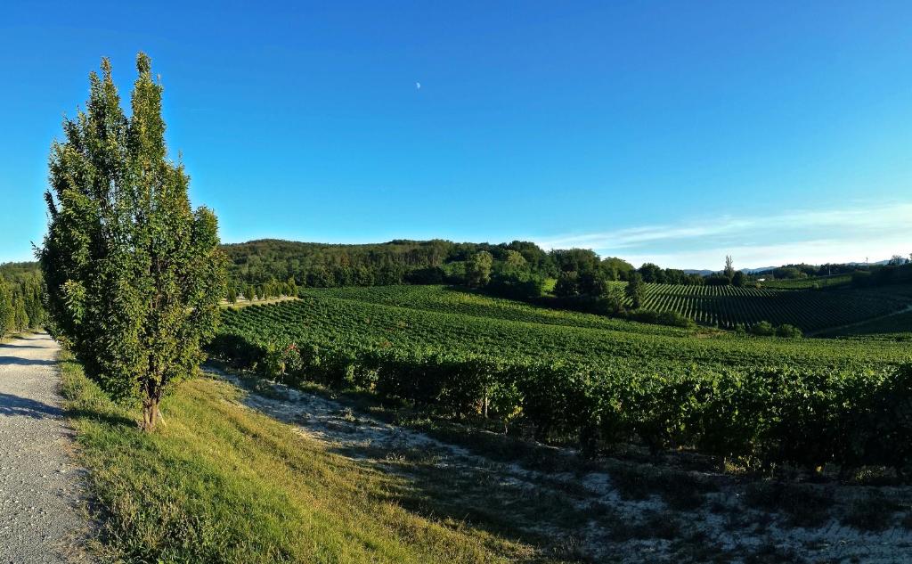 Tenuta "La Meirana" photo 2