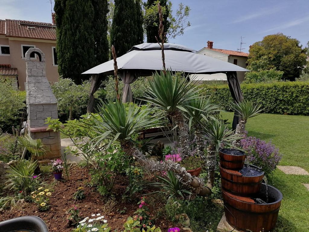 Relax green house photo 4