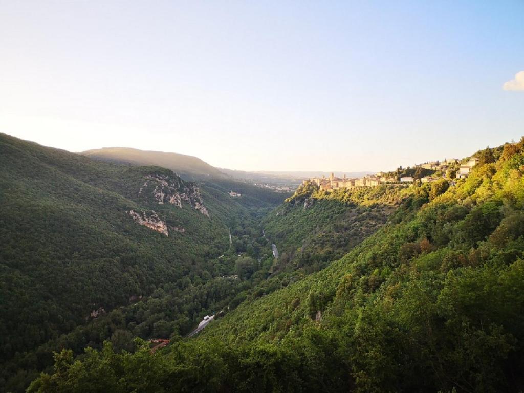 Miravalle photo 3