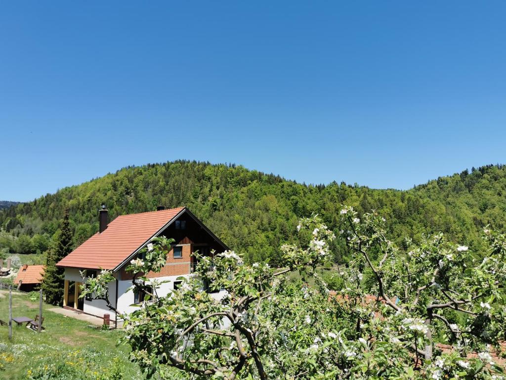 Planinski Mir photo 4