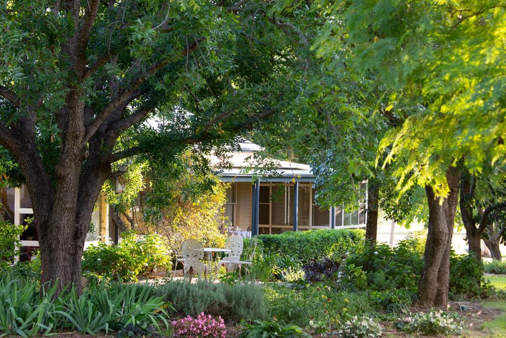 Ivanhoe Park Homestead photo 1