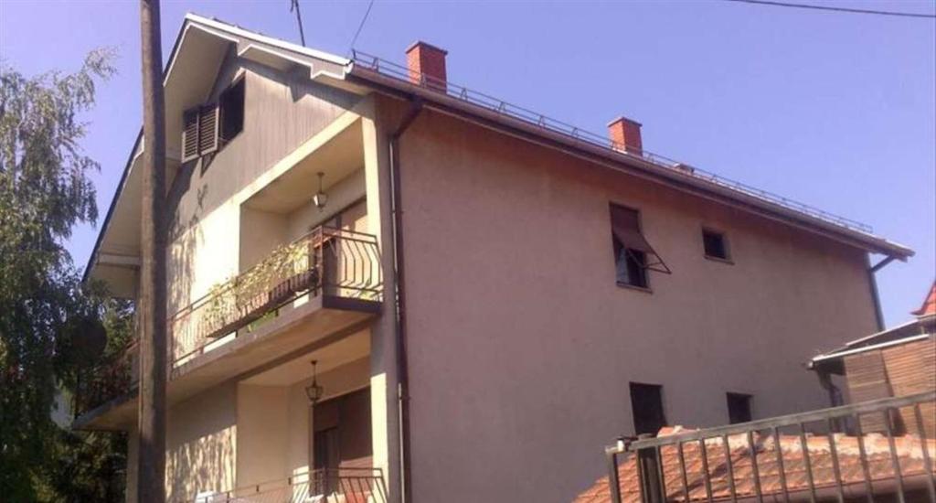 Hostel Golub photo 1