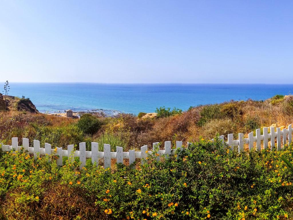 Villa Sonia photo 4