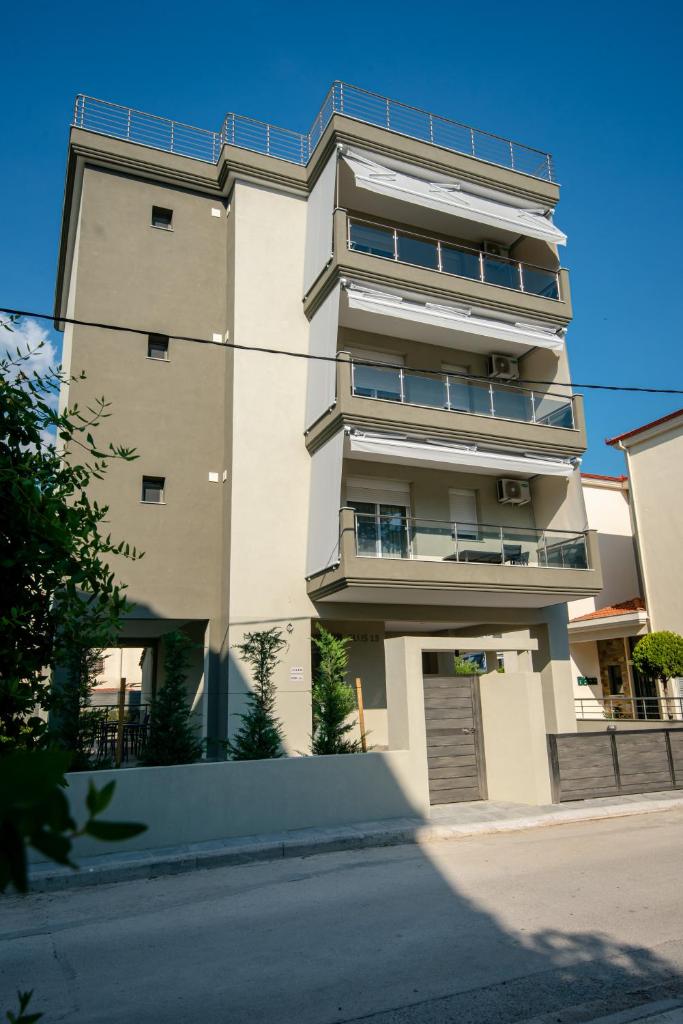 OLIVE 202 photo 4