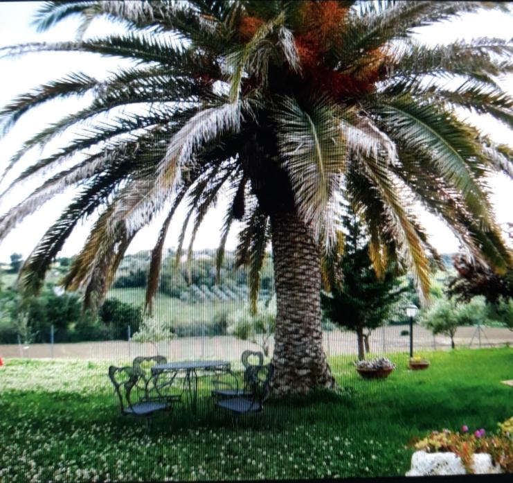 APPARTAMENTO FONTEBELLA photo 2