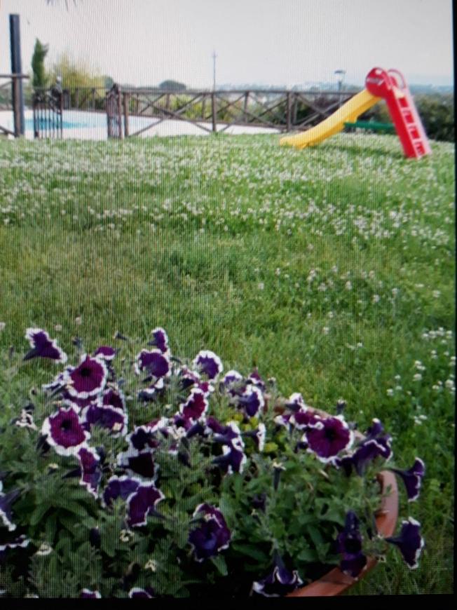 APPARTAMENTO FONTEBELLA photo 3