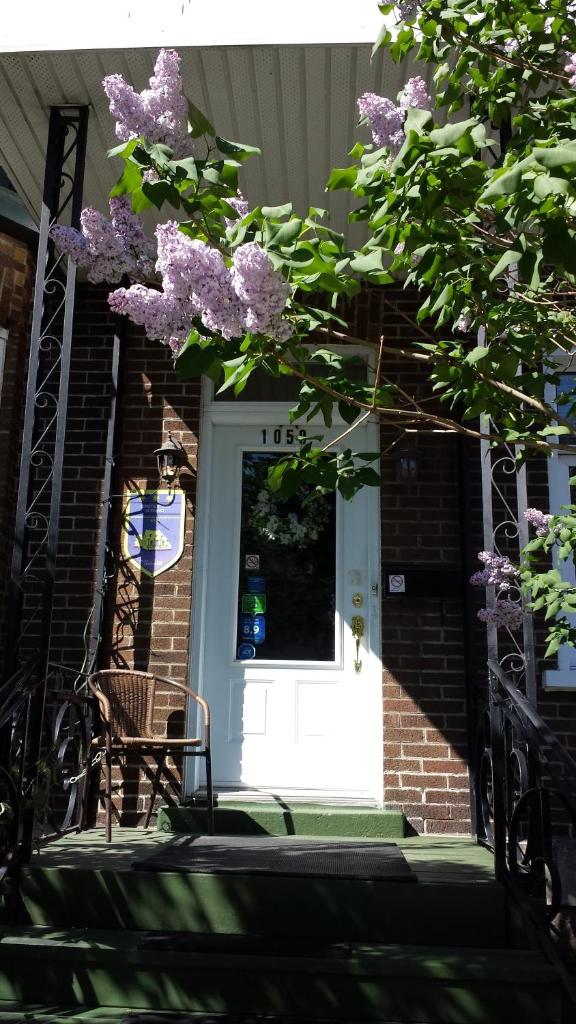 B&B Le Transit photo 1
