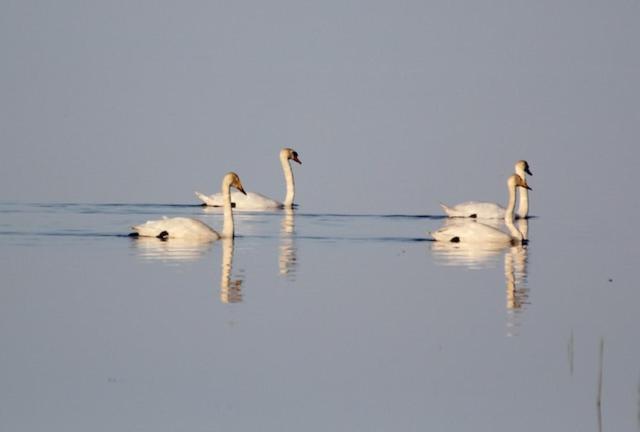 Rehe Holiday Home photo 2