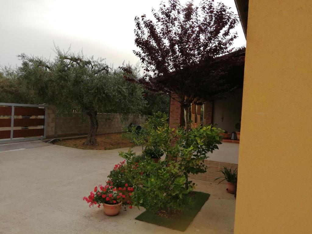 La casetta photo 1