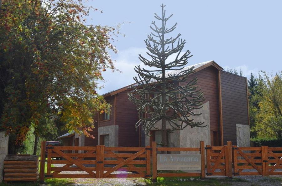 La Araucaria photo 4