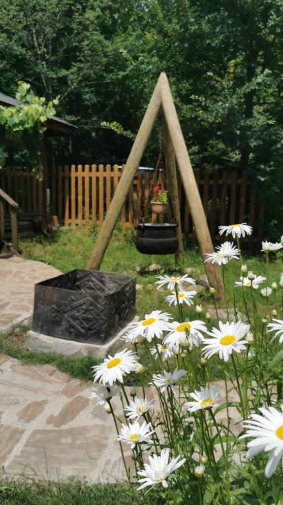 Abant Korudam bungalov butik otel photo 1