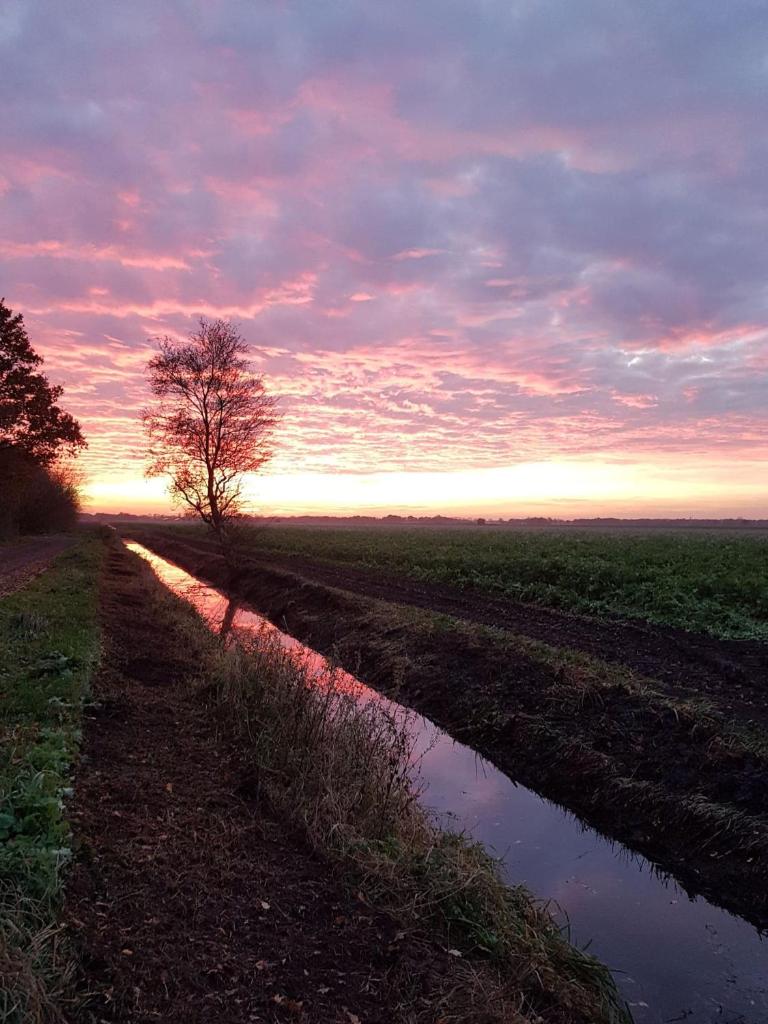 Drenths Landgoed, Welkom thuis photo 3