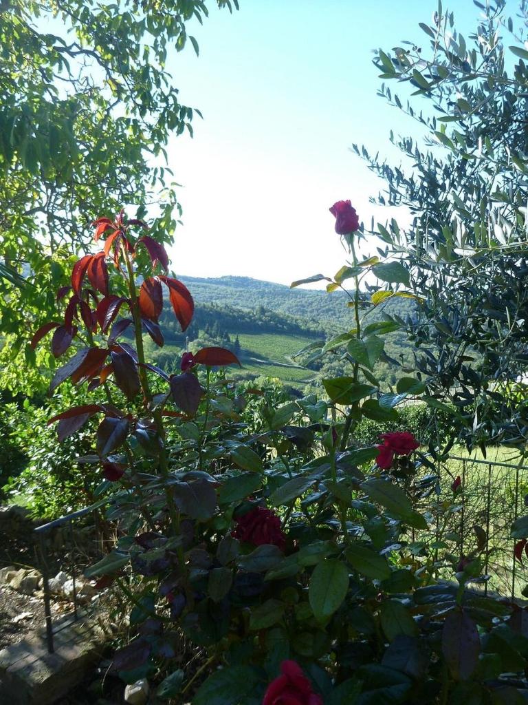 Podere Palazzolo (ADULTS ONLY) photo 2