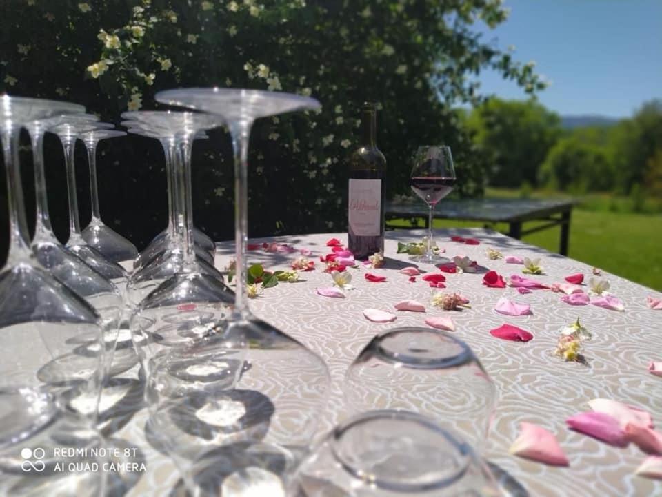 Domaine La Tour photo 3