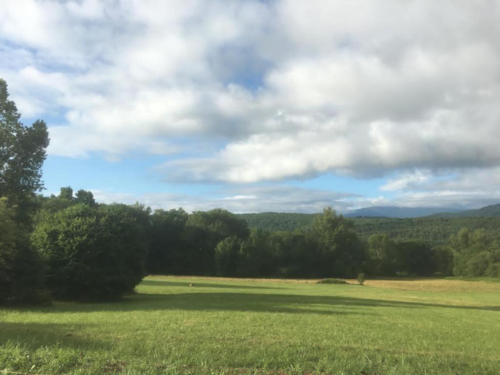 Domaine La Tour photo 4