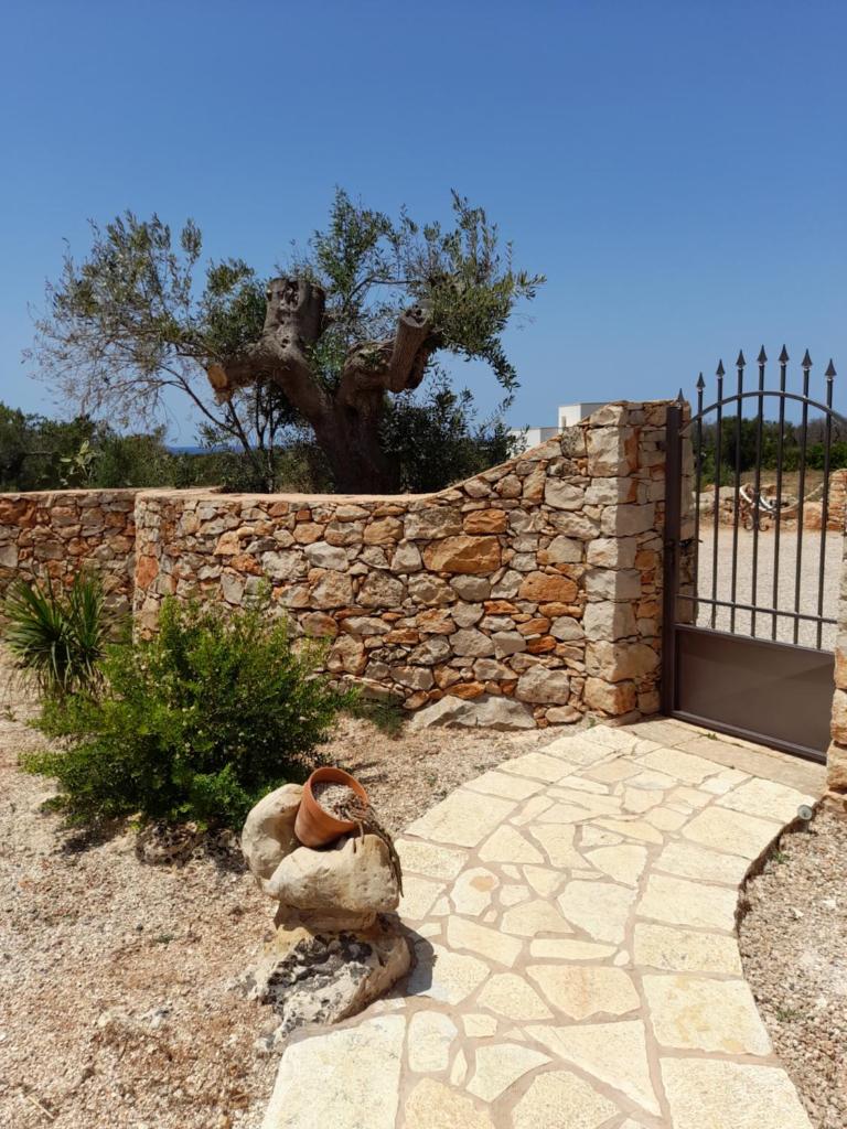 Trullo "Il fico d'india" photo 2