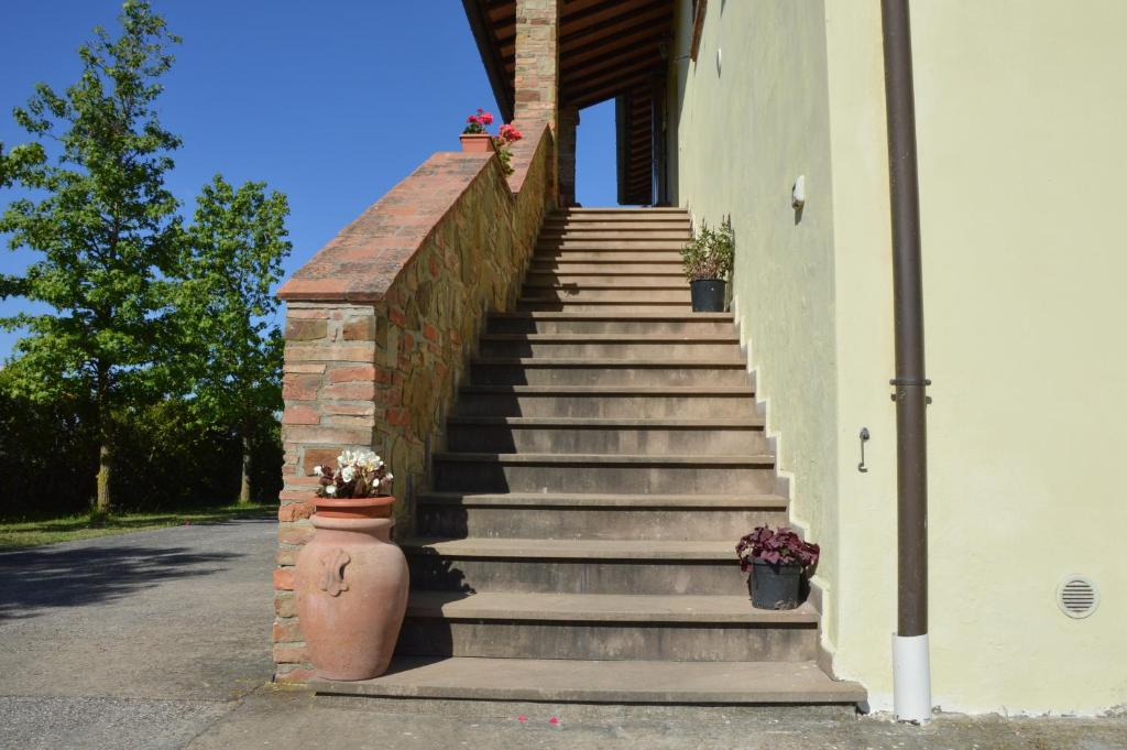 Agriturismo Corte Dainelli photo 3