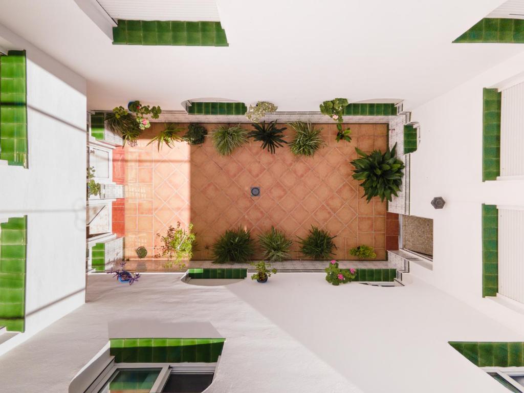 Hostal Patio Andaluz photo 4