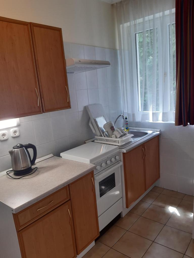 Апартаменты (Апартаменты Делюкс для 2 человек), Apartment Pension Rideg Heviz