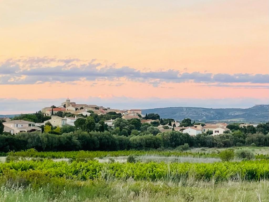 Parenthèse au bord de l’étang photo 1