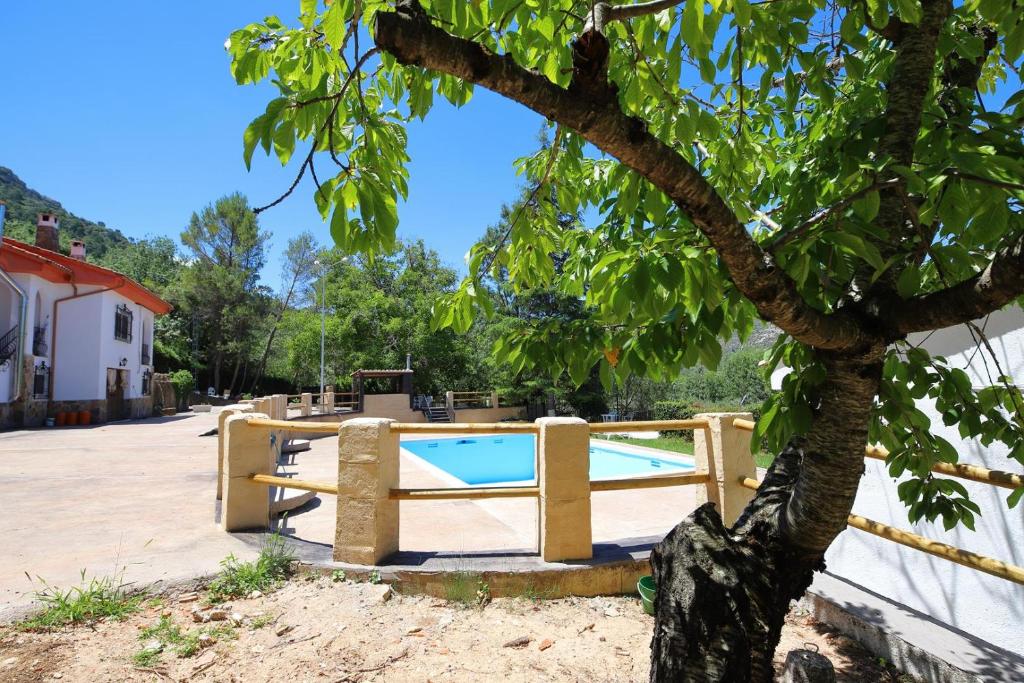 VILLA FORASTERA photo 3