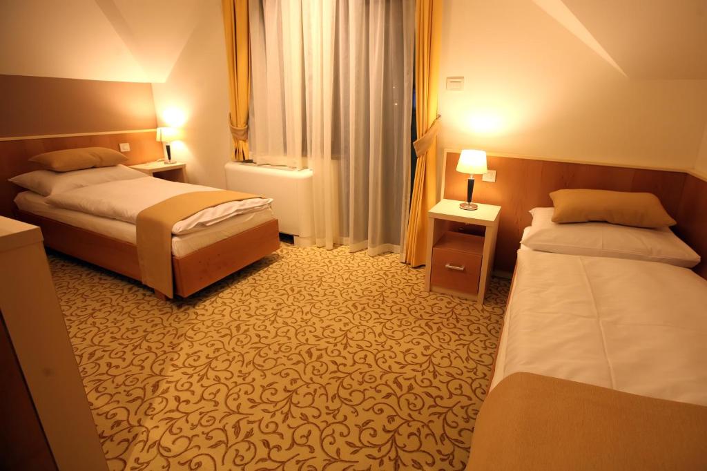 Двухместный (Двухместный номер с 2 отдельными кроватями), Hotel Gallus