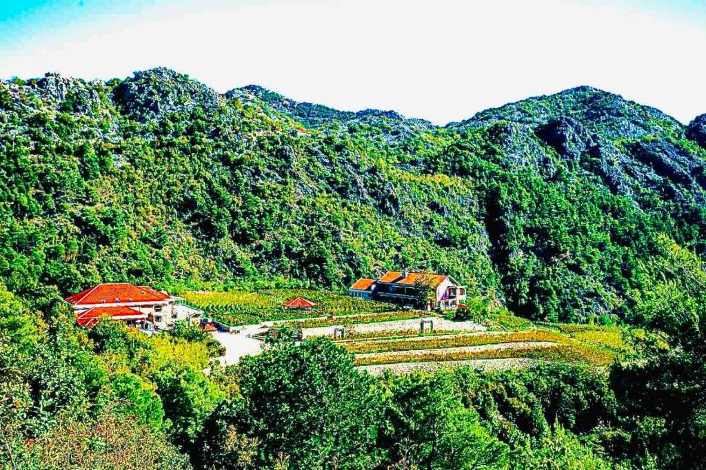 Eco Winery Lipovac Apartments