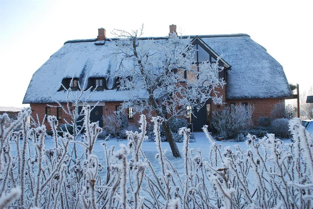 Ferienwohnung unter Reet photo 4