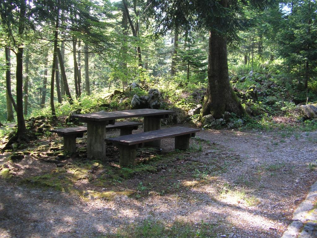 Camping Pivka Jama Postojna photo 2