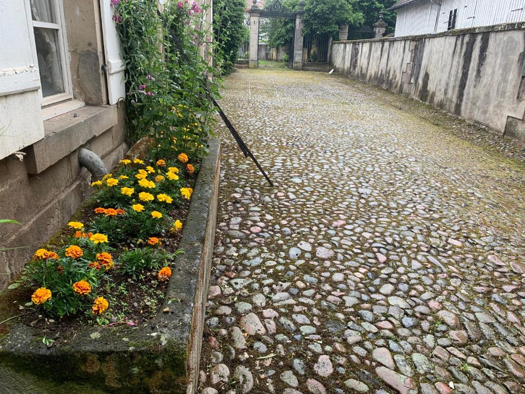 Les Jardins d'Élise, calme et verdure à Lure photo 4