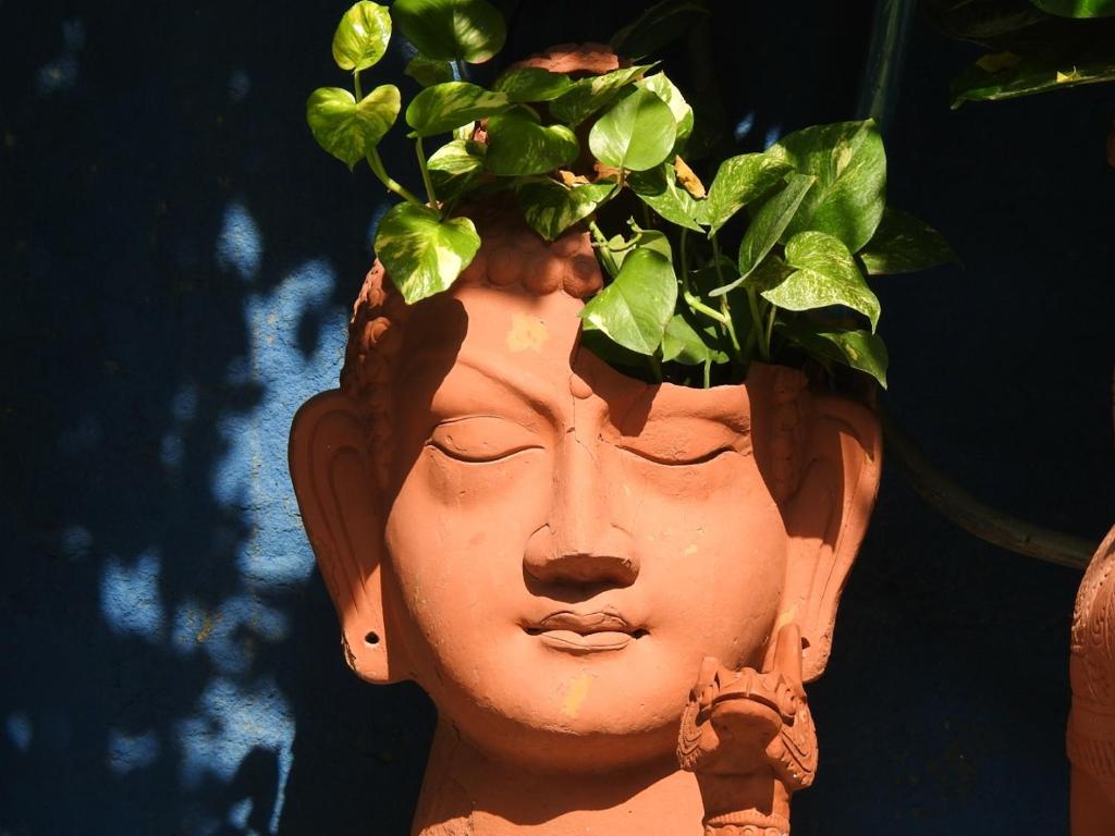 The Coral Tree Boutique Homestay photo 4