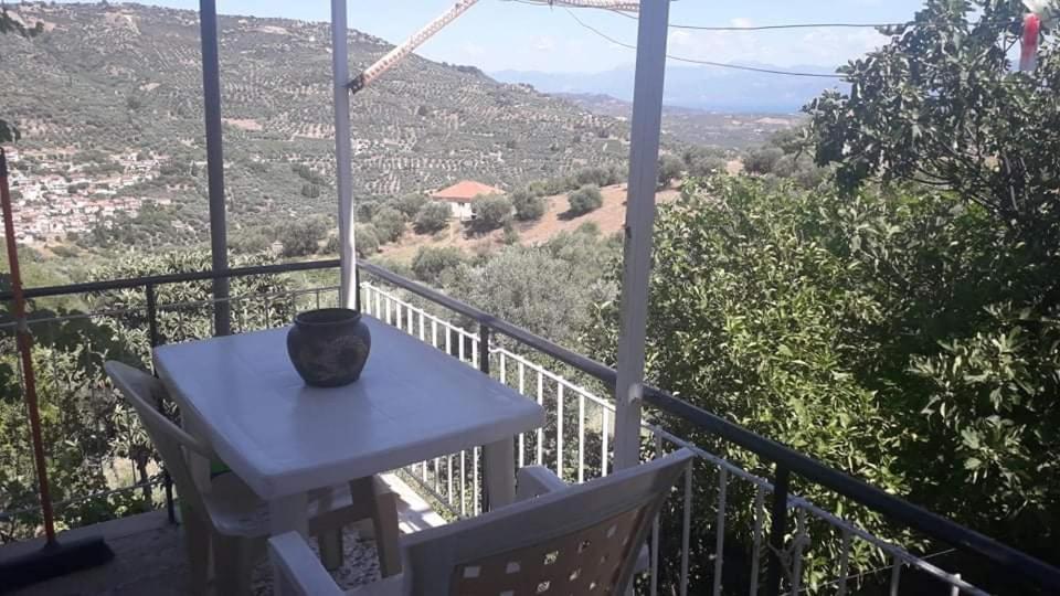 Vacation House Dionysia photo 3