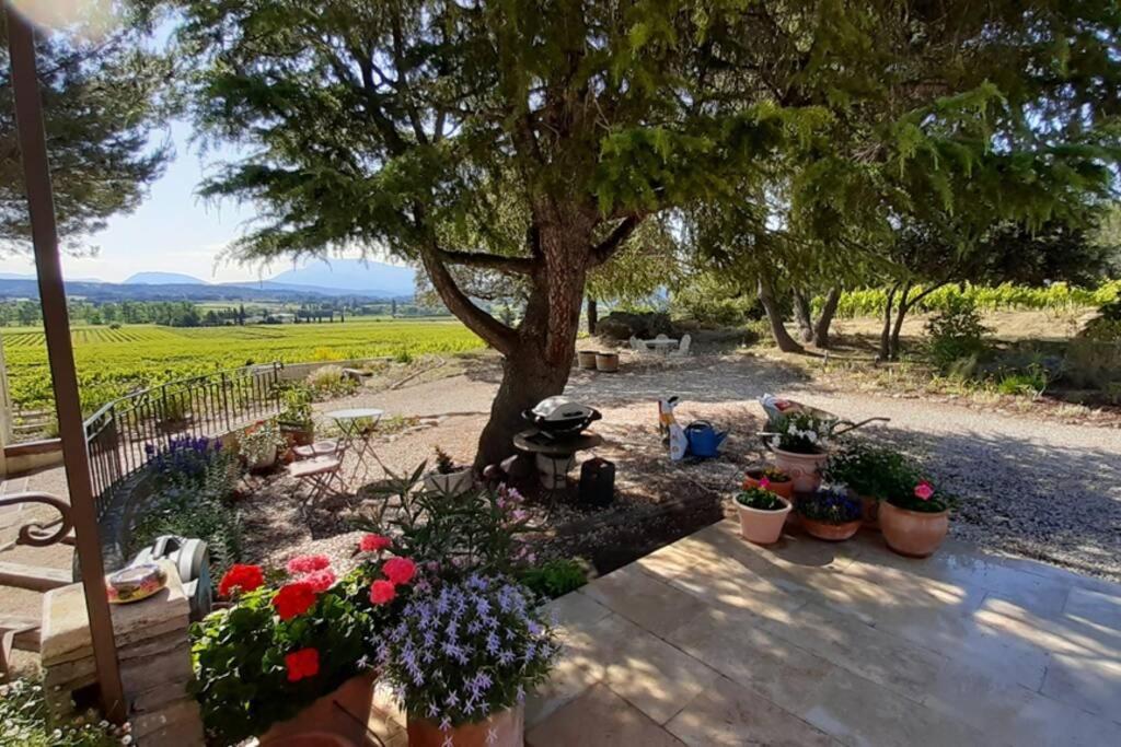 Le clos des pins, vue mont Ventoux photo 2