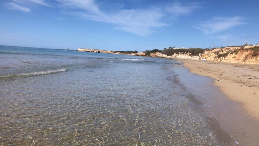 Oasi del sogno photo 3