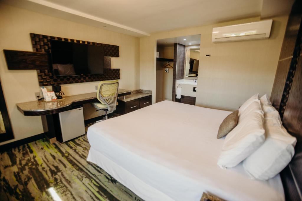 Двухместный (Улучшенный номер с кроватью размера «king-size»), Hotel Calafia