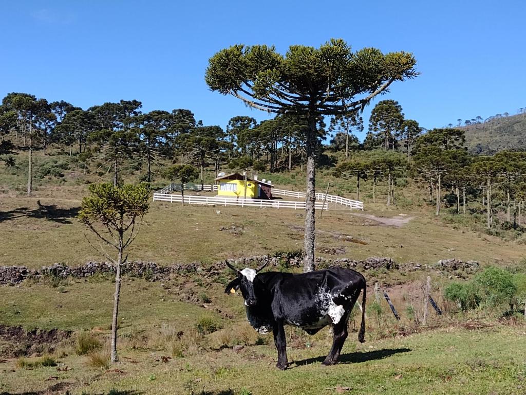 Casa e cabana de campo Fazenda Borba photo 3