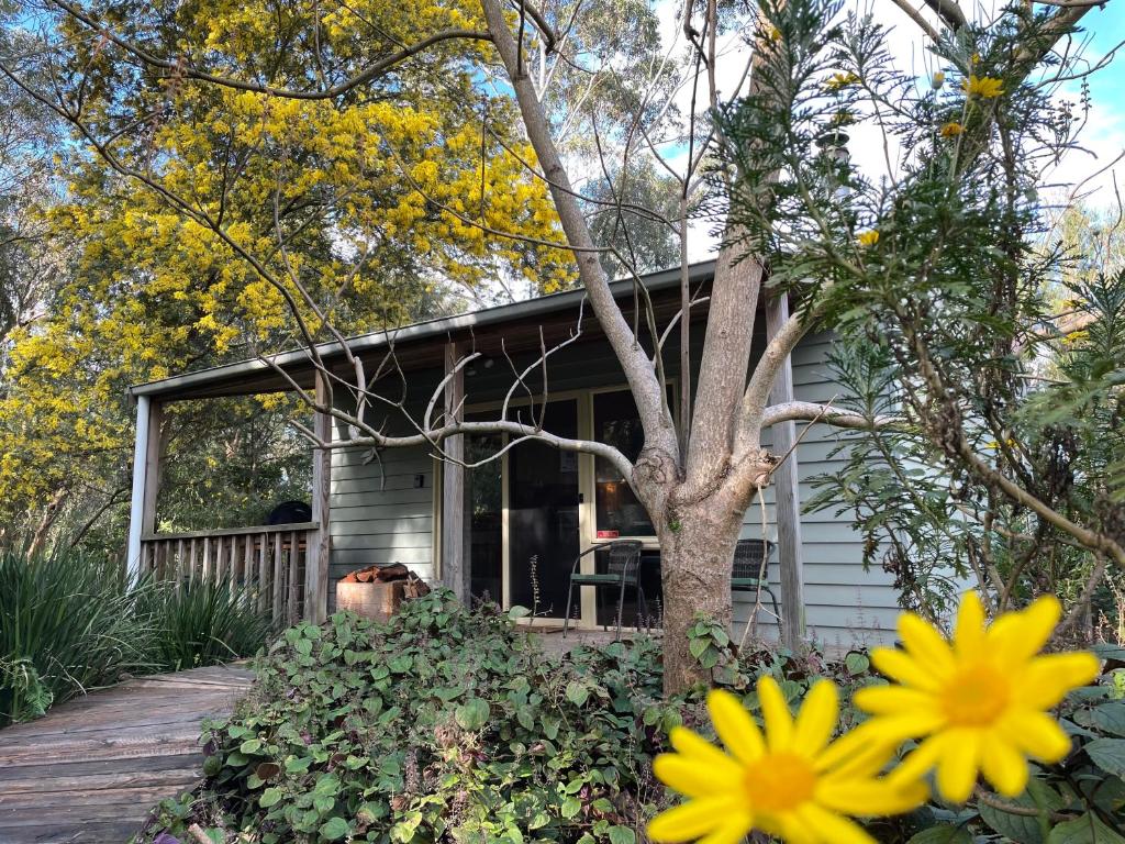 Tindoona Cottages - Tap to explore photos